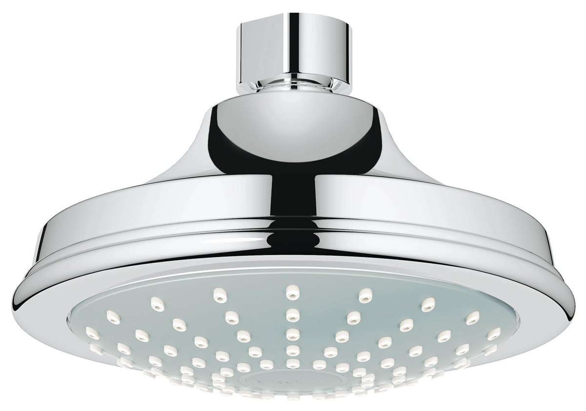GROHE Euphoria Rustic 130 Head shower 1 spray — Chrome