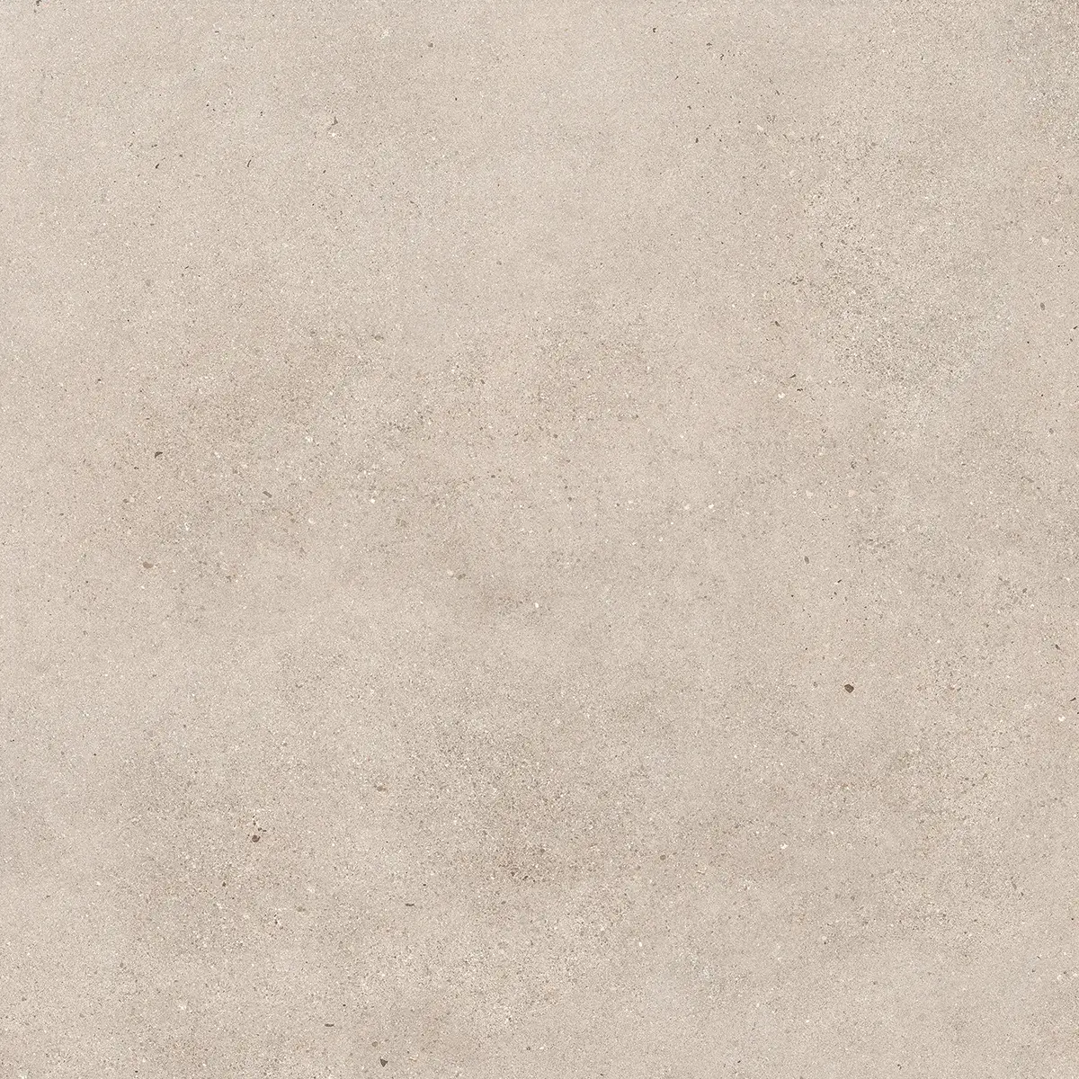 NG Kütahya Octavia – Cement look tiles — Bone