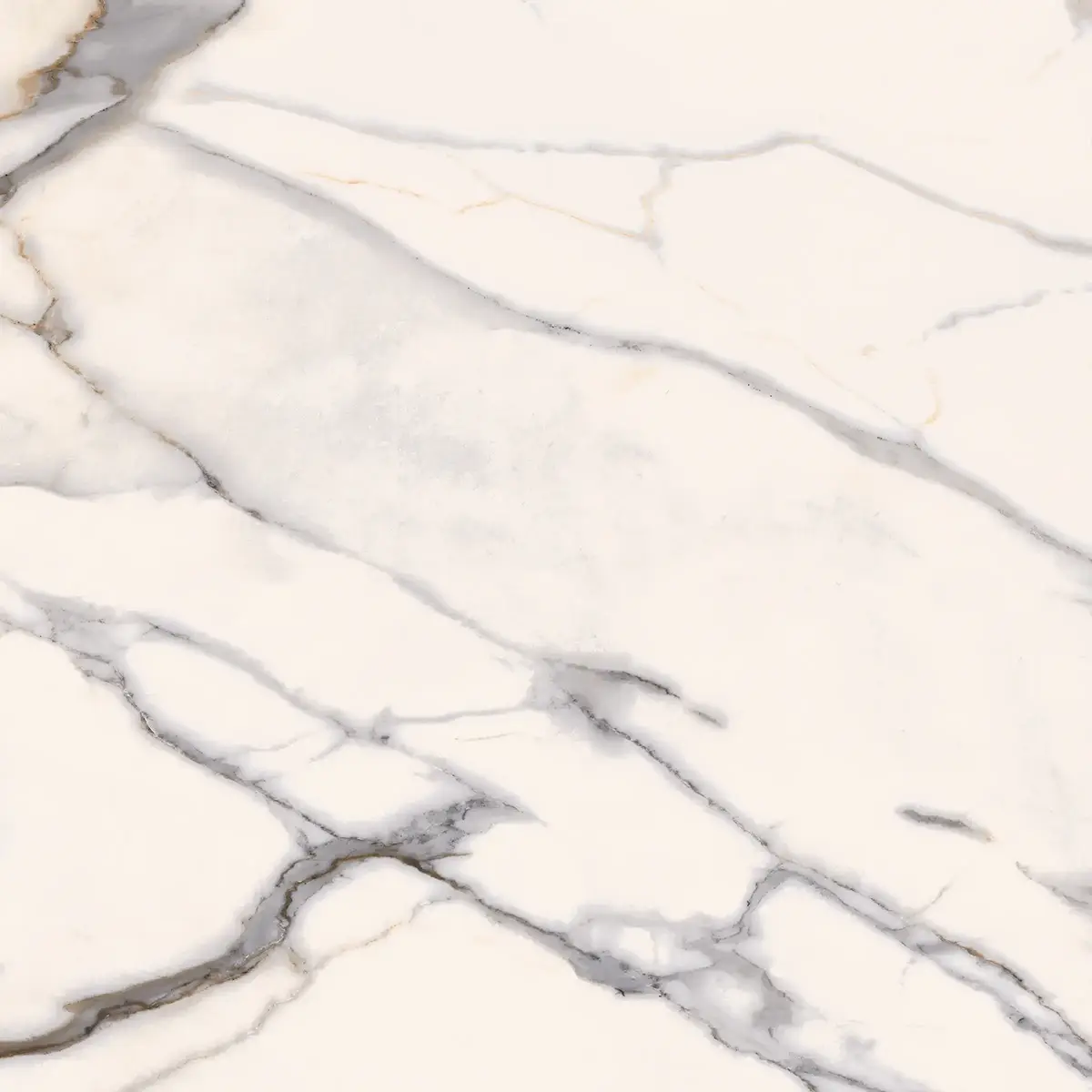 NG Kütahya Royal Calacatta – Marble look tiles — 120×120 cm