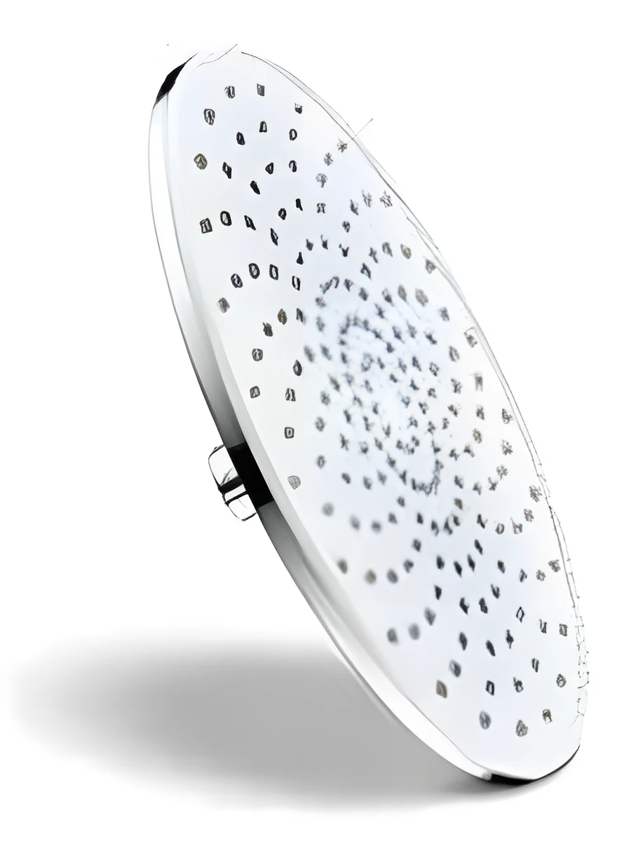 Polo Mario Head Shower (Dia.255mm) — Chrome