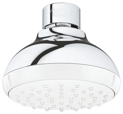 GROHE Tempesta 100 Head shower 1 spray
