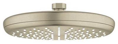 Brushed Nickel