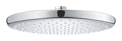 GROHE Tempesta 250 Head shower 1 spray