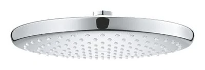 GROHE Tempesta 250 Head shower 1 spray