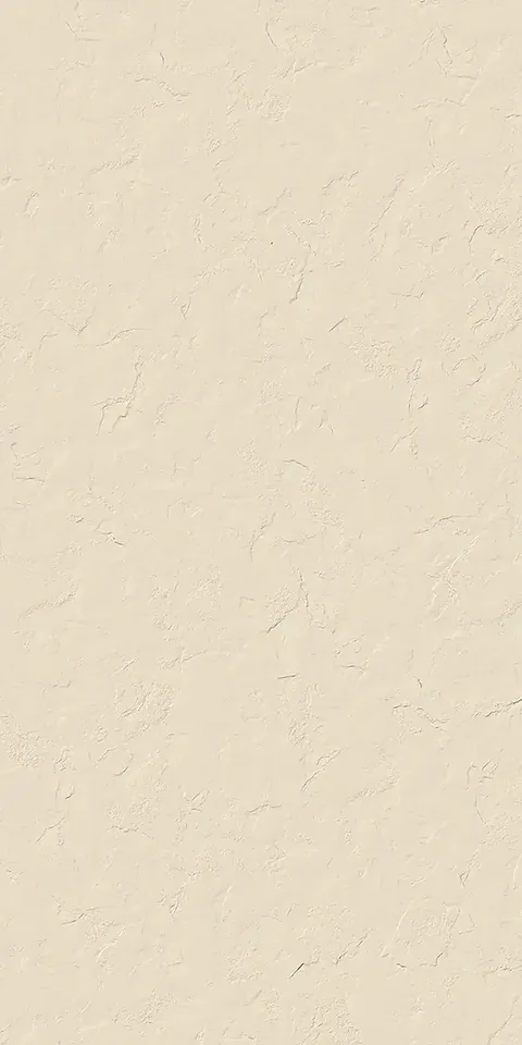 Bone · 60×120 cm · Matt