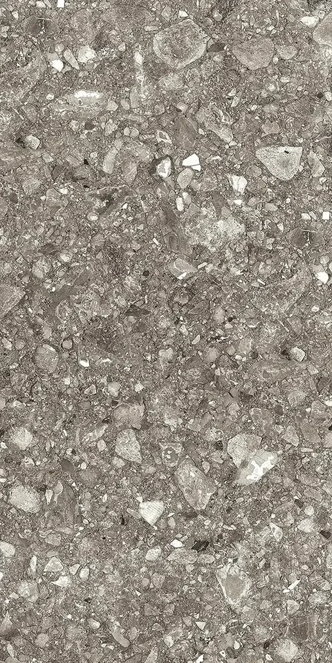 Mocha · 60×120 cm · Matt