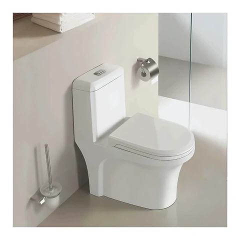 Polo Mario Floor Mounted One Piece WC, rimless (650x360x745mm) – model PM-2401-W25