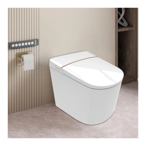 Polo Mario WC with Built-in Bidet Spray