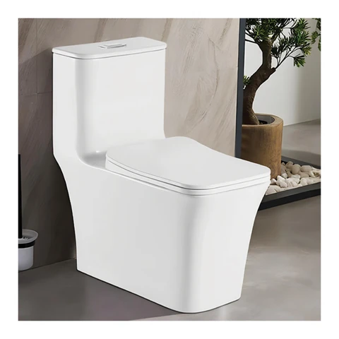 Polo Mario Floor Mounted One Piece WC, rimless (720x360x760mm)
