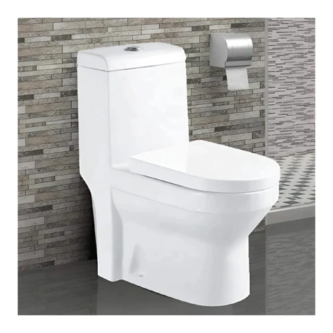 Polo Mario Floor Mounted One Piece WC (700x370x810mm)