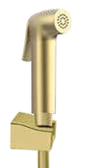 Brushed Gold